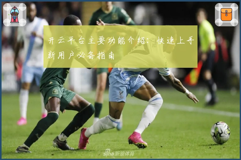 开云平台主要功能介绍：快速上手新用户必备指南